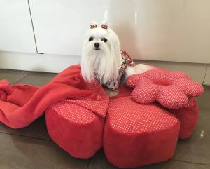 Hundebett RIESEN BLUME RED Handmade