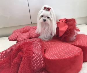 Hundebett RIESEN BLUME RED Handmade