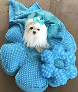 Hundebett RIESEN BLUME SKYBLUE Handmade