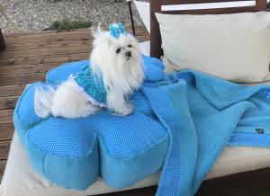 Hundebett RIESEN BLUME SKYBLUE Handmade