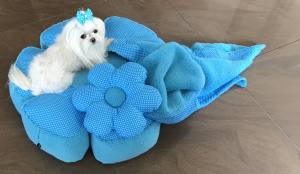 Hundebett RIESEN BLUME SKYBLUE Handmade