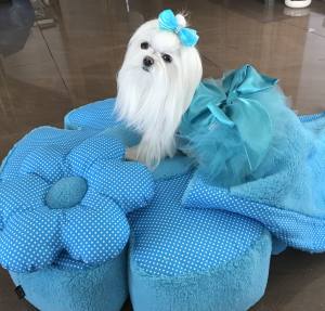 Hundebett RIESEN BLUME SKYBLUE Handmade