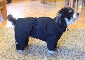 Regenanzug für Hunde BLACK HERCULES mit D-Ring