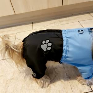 Regenanzug für Hunde BLUE BOY  mit D-Ring
