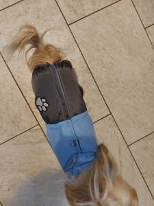 Regenanzug für Hunde BLUE BOY  mit D-Ring