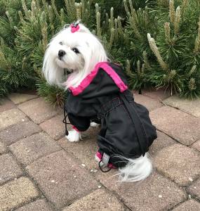 Regenanzug für Hunde LULU mit D-Ring extra für Weibchen