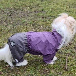 Regenanzug für Hunde PURPLE GIRL mit D-Ring extra für Weibchen