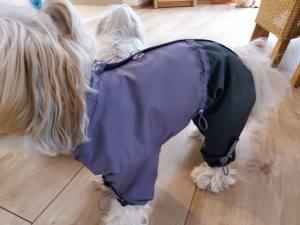 Regenanzug für Hunde PURPLE GIRL mit D-Ring extra für Weibchen