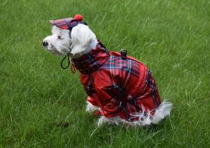 Regenanzug für Hunde * RED FRED * mit D-Ring