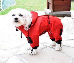 Regenanzug für Hunde RED LUNA extra für Weibchen mit D-Ring