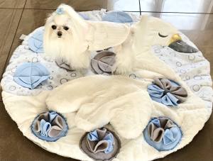 SCHWAN Schnüffelteppich Spielteppich für Hunde,Katzen,Welpen