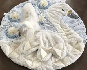 SCHWAN WHITE Schnüffelteppich Spielteppich für Hunde,Katzen,Welpen