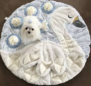 SCHWAN WHITE Schnüffelteppich Spielteppich für Hunde,Katzen,Welpen