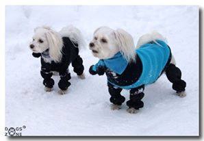 STULPEN,Beinschutz WINTER SCHNEE für  Hunde BLACK auch nach OP geeignet
