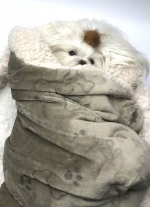 Schlafsack ,Decke ,Spielplatz für Hunde BONE BRAUN