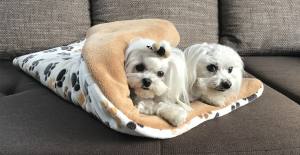 Schlafsack ,Decke ,Spielplatz für Hunde CREME PAW