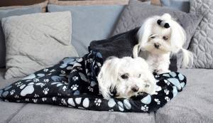 Schlafsack ,Decke ,Spielplatz für Hunde DARKBLUE PAWS