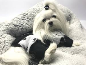 Schlafsack für Hunde BONE GRAU