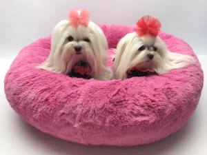 Hunde Schleife Exclusive TÜLL Farben Wahl