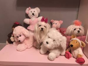 Hunde Schleife Exclusive TÜLL Farben Wahl