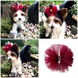 Hunde Schleife Exclusive TÜLL Farben Wahl