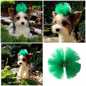 Hunde Schleife Exclusive TÜLL Farben Wahl