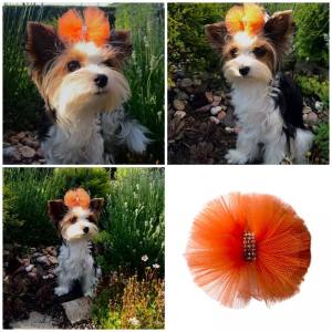 Hunde Schleife Exclusive TÜLL Farben Wahl
