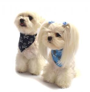 Hunde Schleife  * MINI STRASS * Farben Wahl