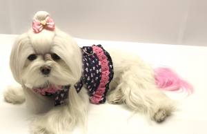 Hunde Schleife ,Spange ROSA HERZ