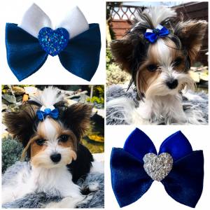Hunde .Schleife ,Spange SILVER HEART BLUE-BLACK