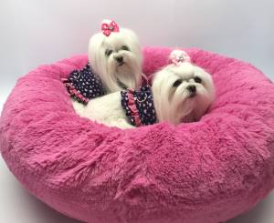 Hunde Schleife auf Gummiring HERZ