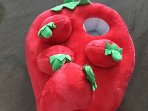 Hunde Schnüffelspiel BIG STRAWBEERY