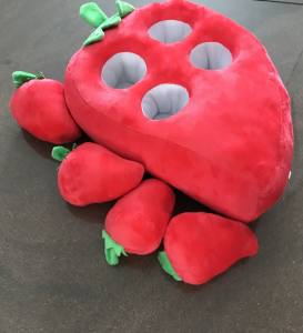 Hunde Schnüffelspiel BIG STRAWBEERY