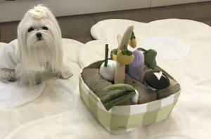 Hunde Schnüffelspiel GEMÜSE KORB