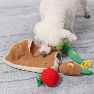 Hunde Schnüffelspiel GEMÜSE LUNCHBOX