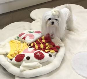 Schnüffelspiel PIZZA für Hunde