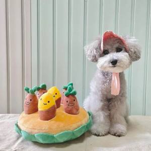 Hunde Schnüffelspiel Lustige Kartoffeln
