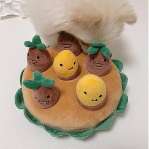 Hunde Schnüffelspiel Lustige Kartoffeln