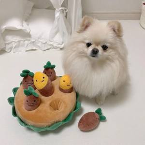 Hunde Schnüffelspiel Lustige Kartoffeln