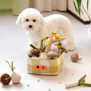 Hunde Schnüffelspiel GEMÜSE KORB