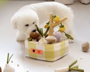 Hunde Schnüffelspiel GEMÜSE KORB