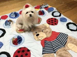 Schnüffelteppich BIG BÄR  für Hunde,Katzen,Welpen 240 Verstecke