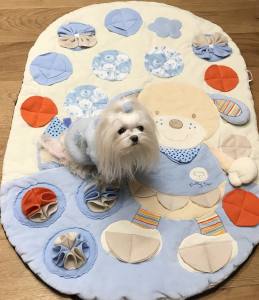 Schnüffelteppich BIG DOG  für Hunde,Katzen,Welpen