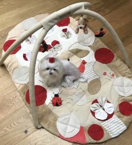 Schnüffelteppich DOG DOG mit Bögen für Hunde,Katzen,Welpen