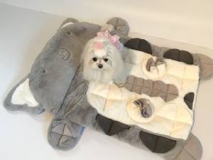 Schnüffelteppich ELEFANT Spielteppich für Hunde,Katzen,Welpen