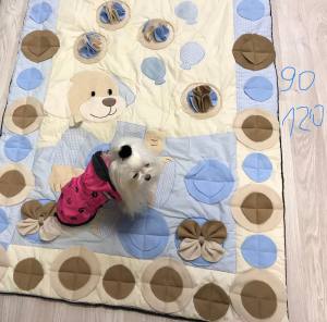 Schnüffelteppich HUND mit Luftballons für Hunde,Katzen,Welpen