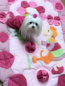 Schnüffelteppich PUPPE mit  Blume mit Bögen für Hunde,Katzen,Welpen