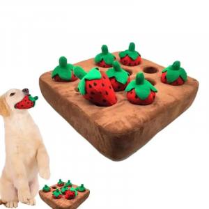 Schnüffelspiel Erdbeeren-Feld