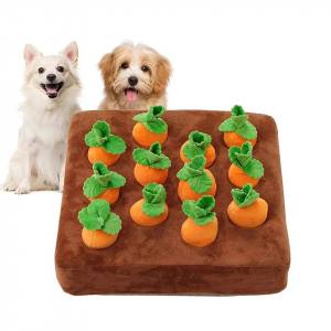 Hunde Schnüffelspiel Karotten-Feld