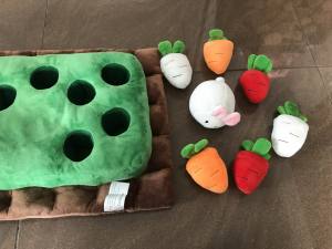 Hunde Schnüffelspiel Mini Karotten mit Häschen